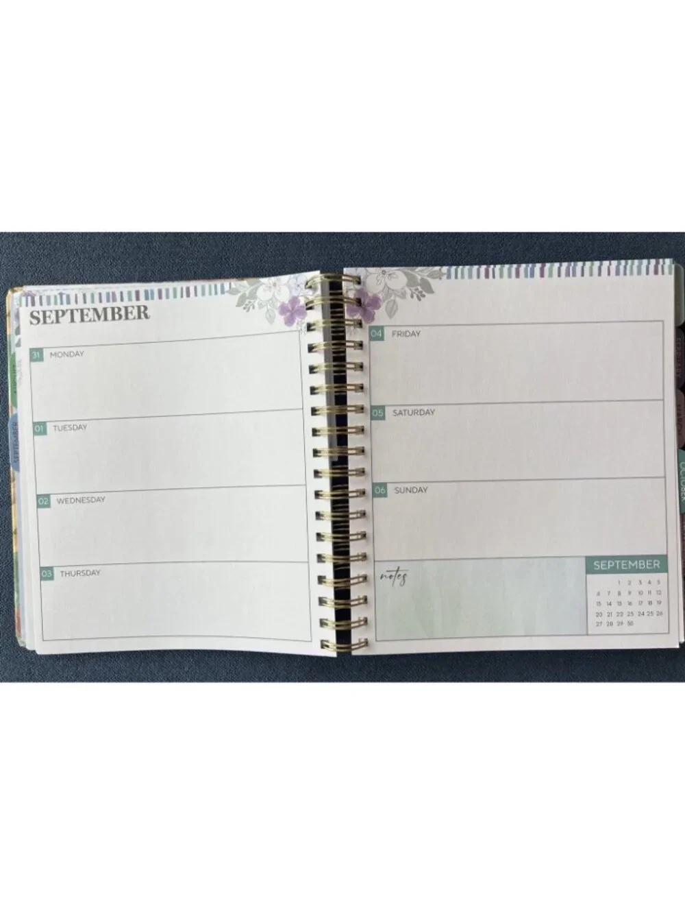 Planner 17 Month 2026-27 LORD IS STRENGTH Month Day Week Organizer Plan 9